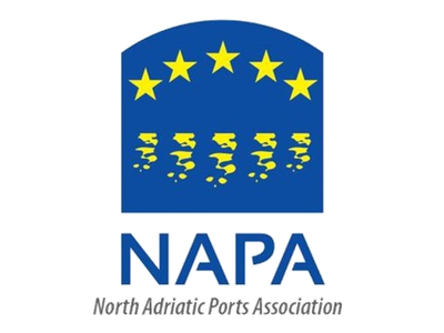 Logo NAPA.png