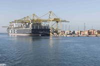 IMEC, delegazione internazionale in visita al porto di Trieste: focus su infrastrutture, terminal e progetti di sviluppo